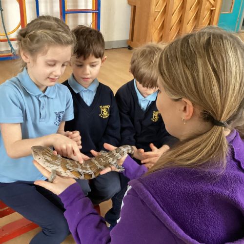 Creature Teachers